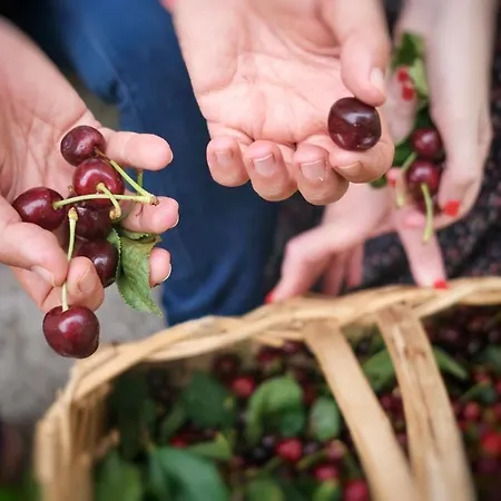 Casa De Sao Roque - Lamego Cambres