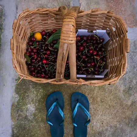 Casa De Sao Roque - Lamego