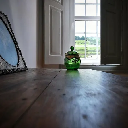 Casa De Sao Roque - Lamego فيلة *