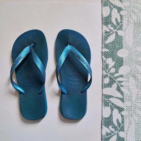 Casa De Sao Roque - Lamego Villa *