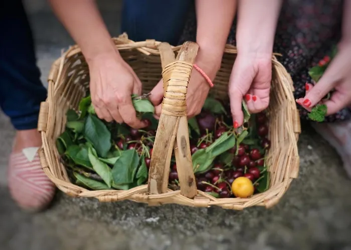 Casa De Sao Roque - Lamego