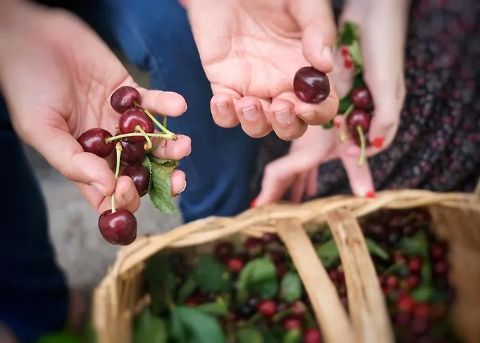 Casa De Sao Roque - Lamego Cambres
