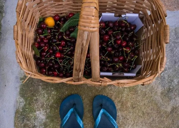 Casa De Sao Roque - Lamego