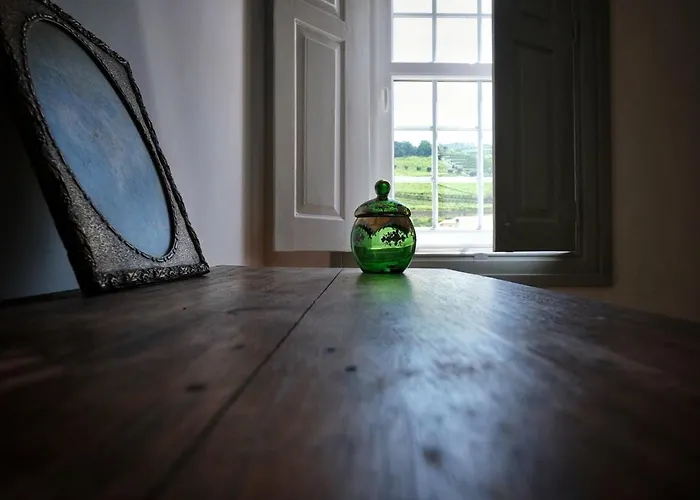 Casa De Sao Roque - Lamego Villa *