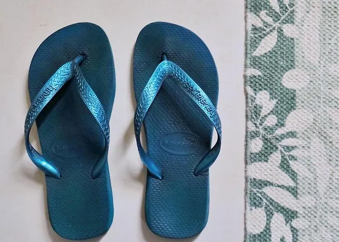 Casa De Sao Roque - Lamego Villa *